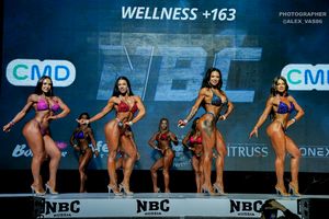 WELLNESS +163